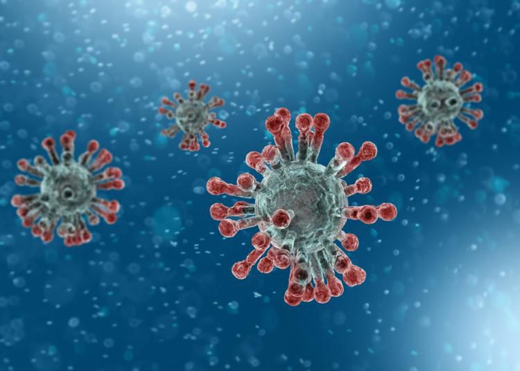 Pinellas Count’s coronavirus cases jump up to 64, still only one death